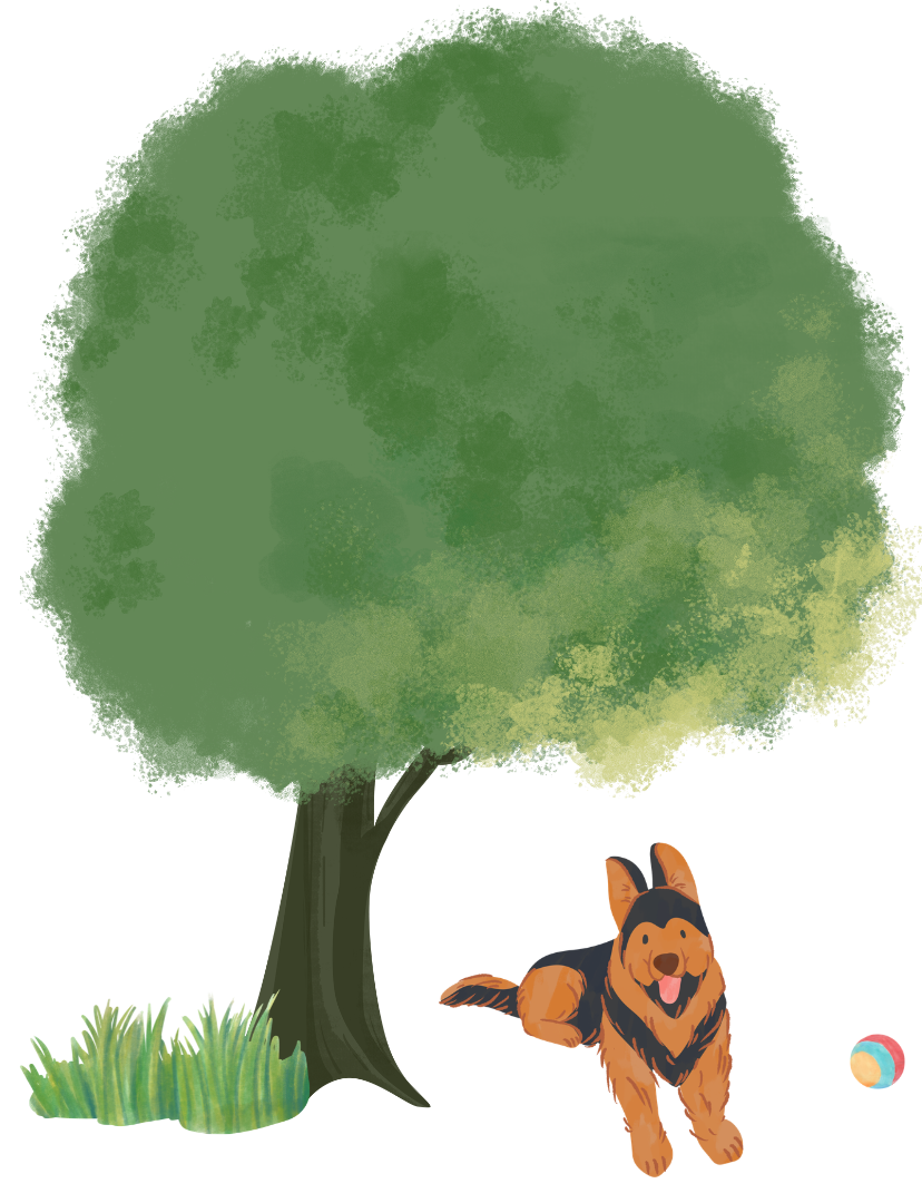 Gos sota un arbre
