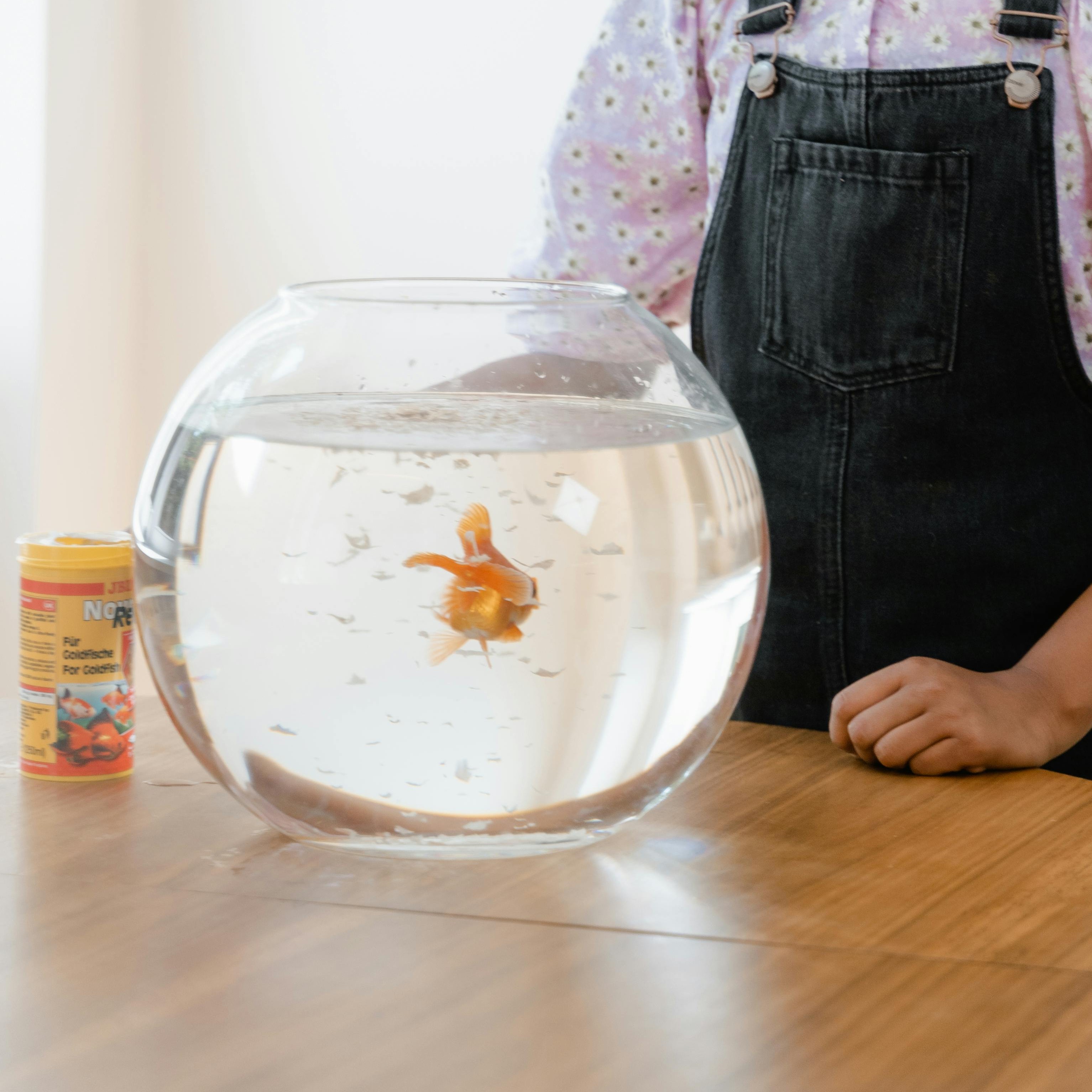 Menjar per a peixos