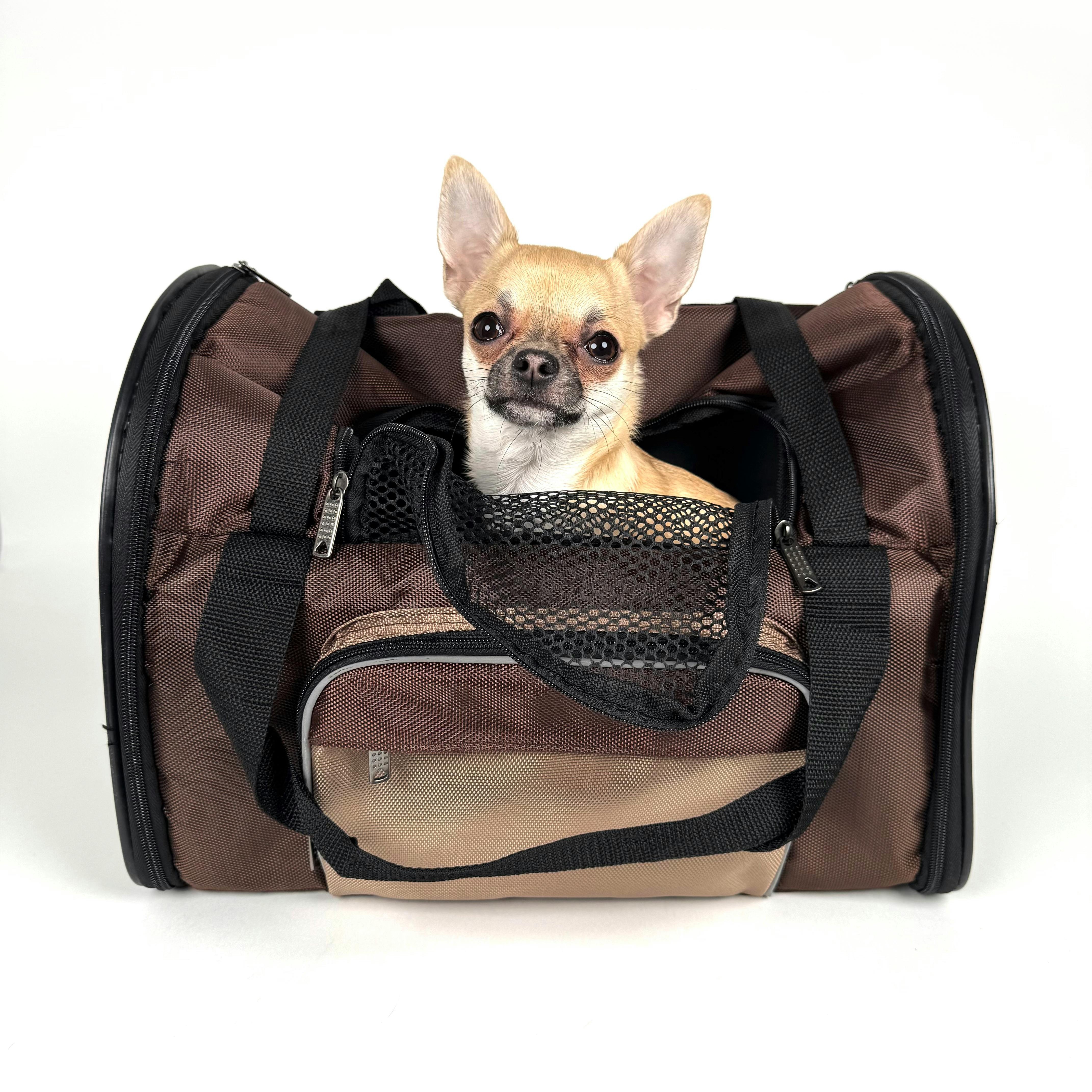 Transportí per a gossos